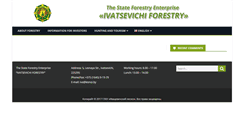 Desktop Screenshot of liva.lesnoi.by
